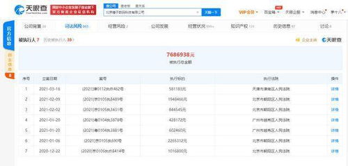 錘子科技關(guān)聯(lián)公司再成被執(zhí)行人，面臨58萬執(zhí)行標(biāo)的